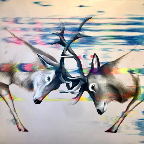 Louise McNaught