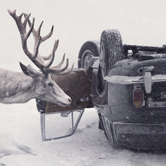 Martin Stranka stag car snowy photograph artwork for luxury ski chalets  in ski resorts mountain lodge hotels deer nature animal contemporary art and photography car crash art ski vintage poster landscape ski resort life luxury chalet  design ideas