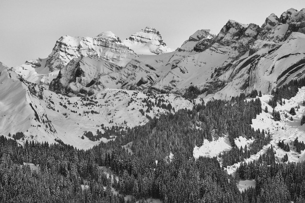 Black and white Dents du Midi and Dents Blanche mountain print with snow-covered alpine forest