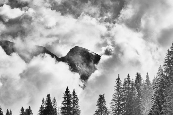 black & white photography. Mountain peak partially obscured by clouds with trees in the foreground