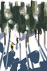 Stylized fine art illustration of two skiers carrying their gear as they walk into a snow-covered evergreen forest, with bright sunlight and bokeh effects filtering through the dark trees.
