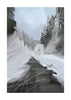 Art print of a moody winter forest with a dark trail winding through snow.