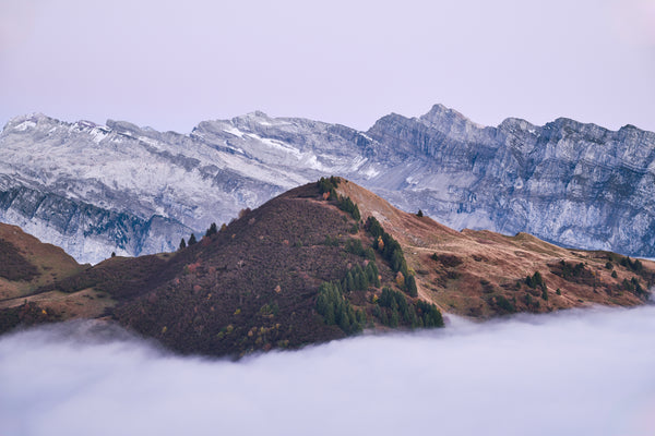 Grand Massif photo print. A calm mountain ridge with evergreen trees rising through a thick sea of white clouds at dusk, with the jagged grey limestone cliffs of Flaine in the background under a soft violet sky.
