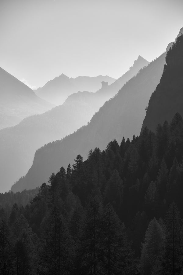 Huge mountain photographic print. A black and white vertical landscape showing the silhouetted layers of mountain ridges and pine forests fading into a misty horizon in Valle Stretta, Italy.